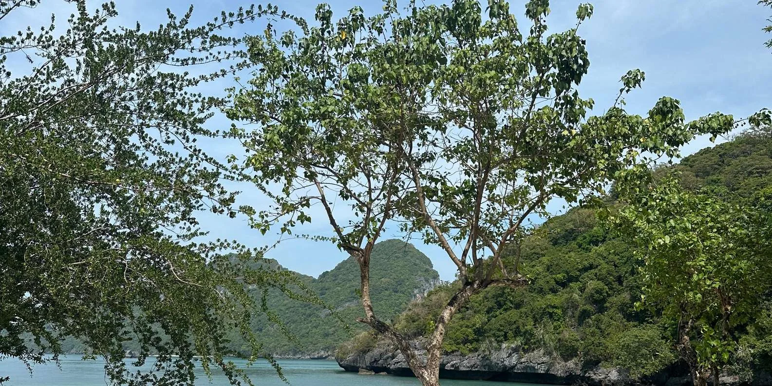 Climbing the staircase to see the stunning Emerald Lake in Ang Thong