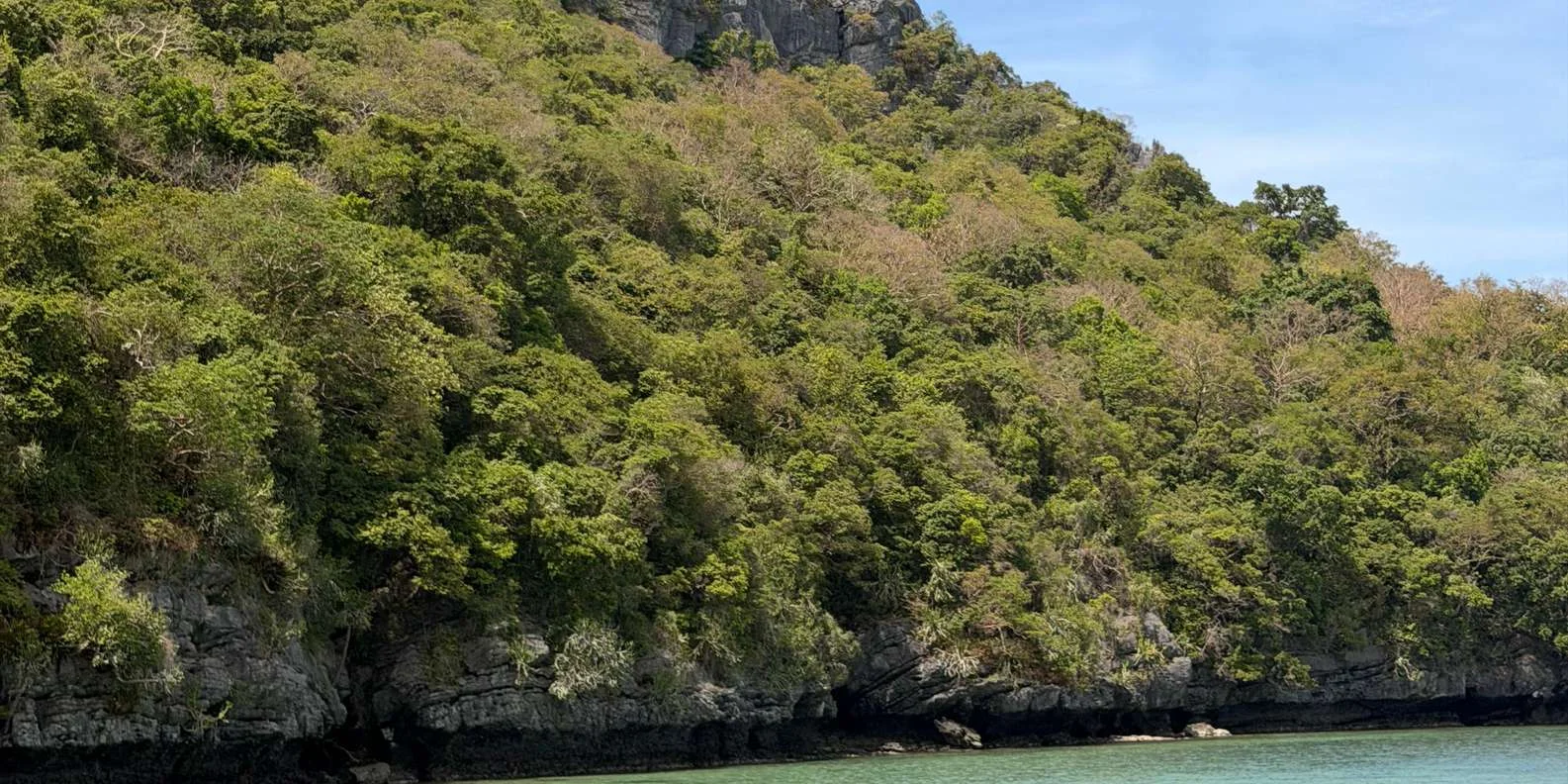 Tourist reviewing Ang Thong Marine Park snorkeling experience