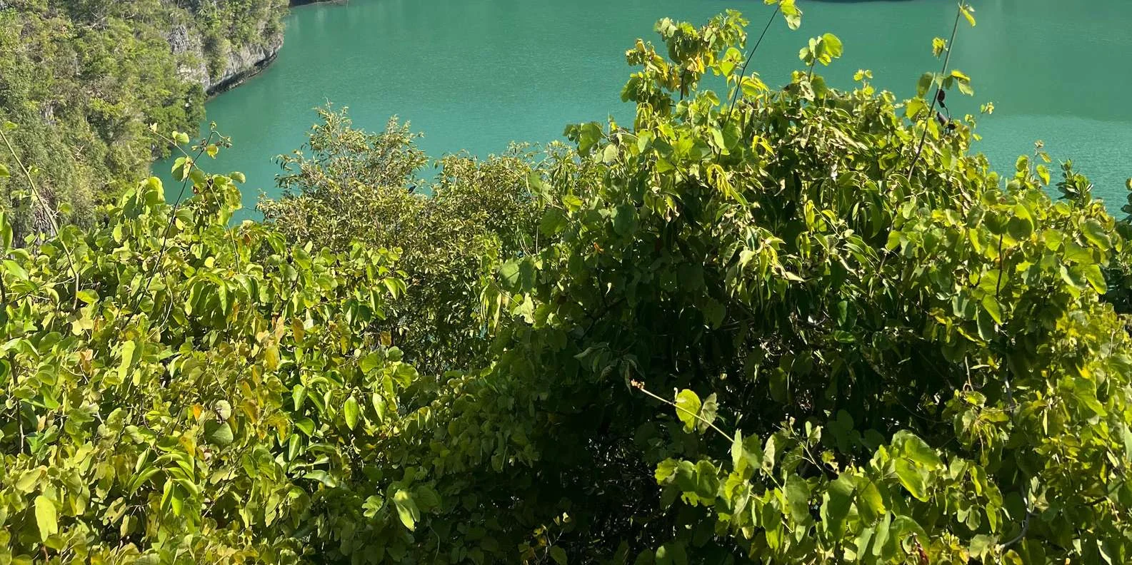 Koh Samui boat tour arriving at the famous Emerald Lagoon